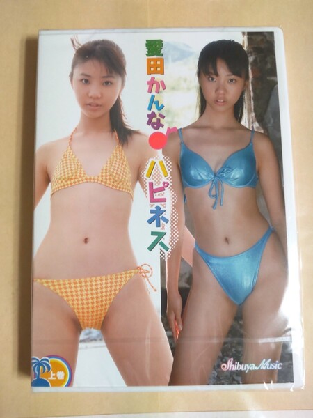 正規品 未開封 愛田かんな ハピネス 上巻 アイドルDVD
