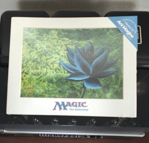 MTG アートプリント Black Lotus ブラックロータス 複製原画 未開封 5000 limited 限定品 Magic ジャンク