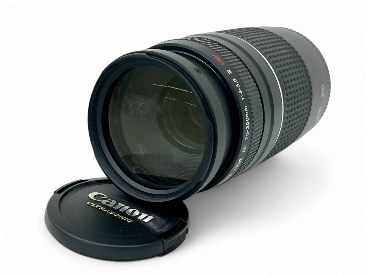 Amazon.com : Canon EF 75-300mm f/4-5.6 III Telephoto Zoom