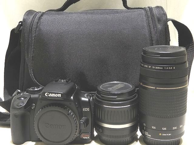 EF75-300mm F4-5.6 III USM - キヤノンカメラミュージアム