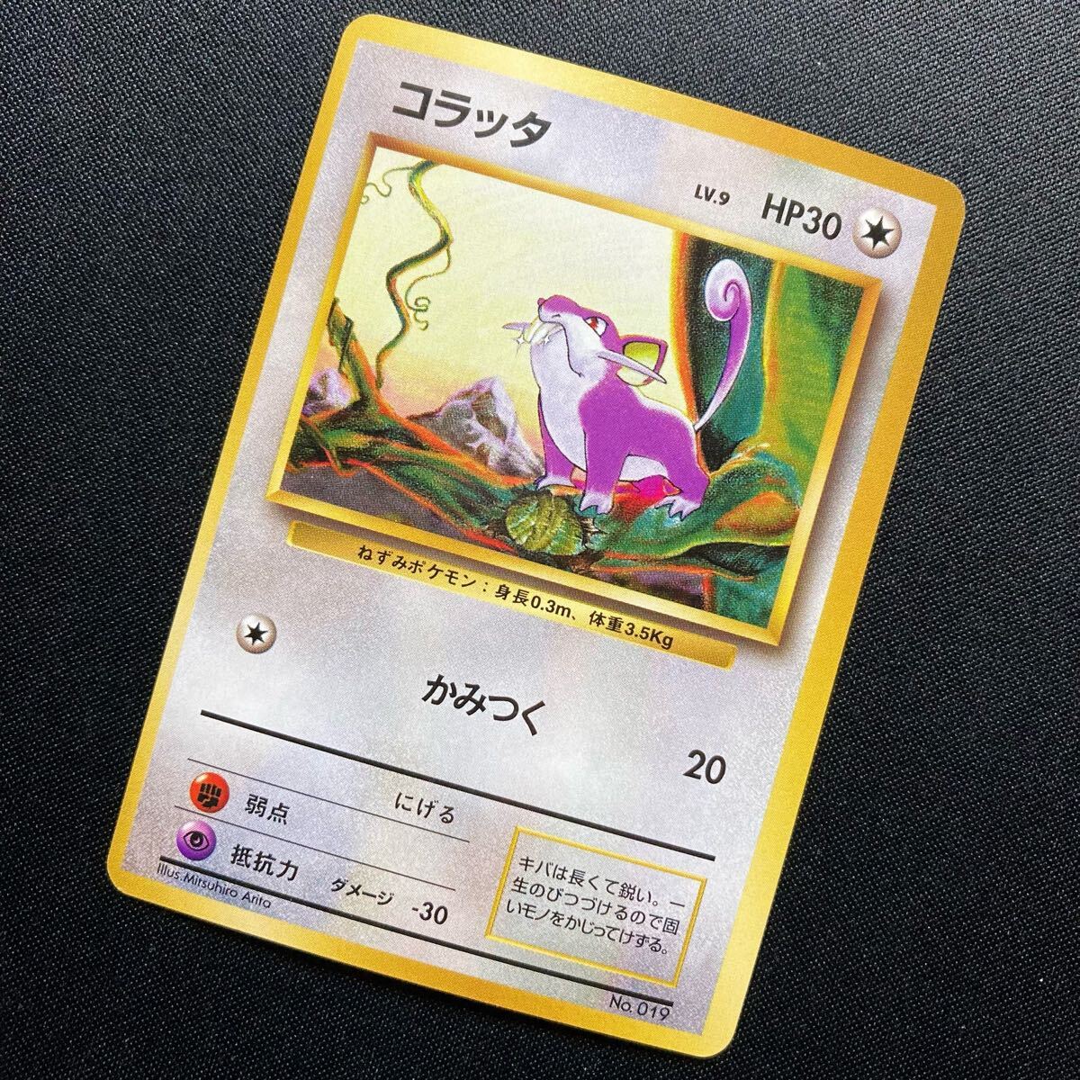 2025年最新】Yahoo!オークション -ポケモンカード 旧 マークなし 2025年最新】Yahoo!オークション -ポケモンカード 旧 マークなし