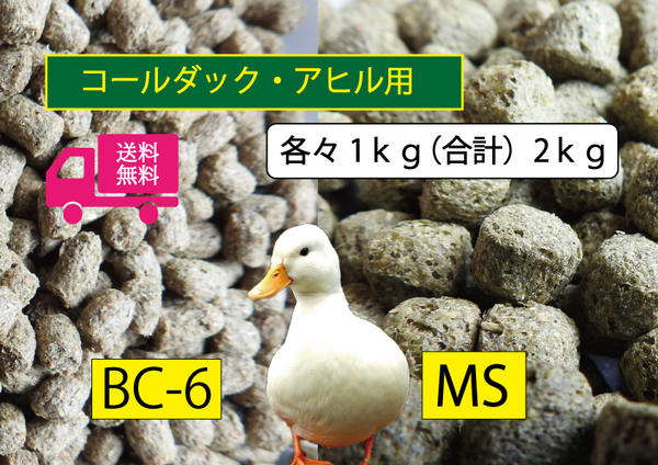 ★送料無料 【アヒル・コールダック用飼育飼料セット】BC-6 MS オリエンタル酵母 2種1kg×2袋(計2kg) 水禽・カモ用