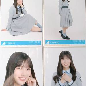 河田陽菜★ってか 通常版★4種コンプ☆日向坂46【匿名可 検品済 まとめ発送】送料無料