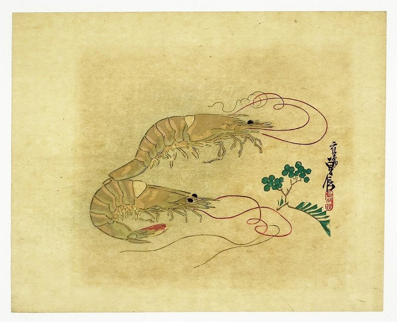鼈甲の海老の絵画