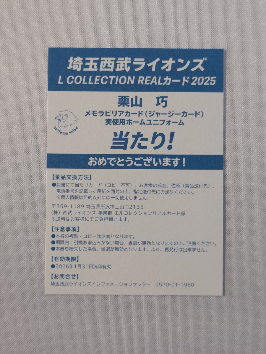 2025年最新】Yahoo!オークション -西武 ライオンズ 実使用の中古 2025年最新】Yahoo!オークション -西武 ライオンズ 実使用の中古