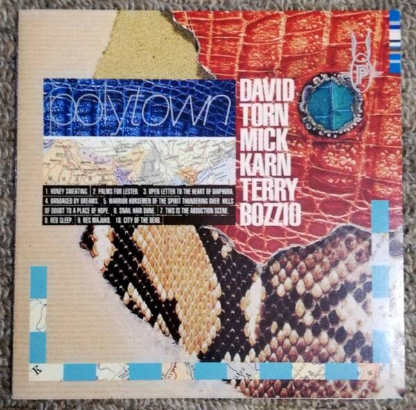 POLYTOWN / DAVID TORN MICK KARN TERRY BOZZIO