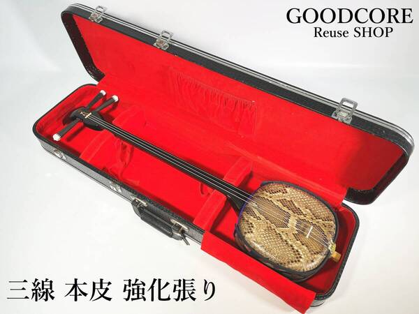 三線 本革 本皮 強化張り 弦楽器 ハードケース付属●R704129