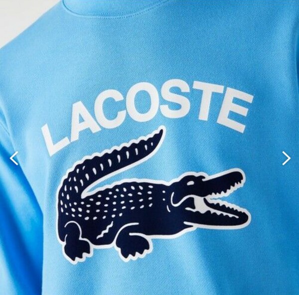 新品 未使用 タグ LACOSTE ラコステ SH9689 ビッグ クロック カレッジ ロゴ クルー ネックス ウェット トレーナー Classic Fit フィット 青