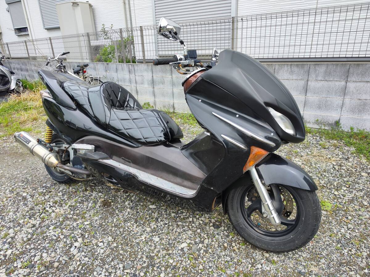 2025年最新】Yahoo!オークション -フォルツァ mf08(ホンダ)の
