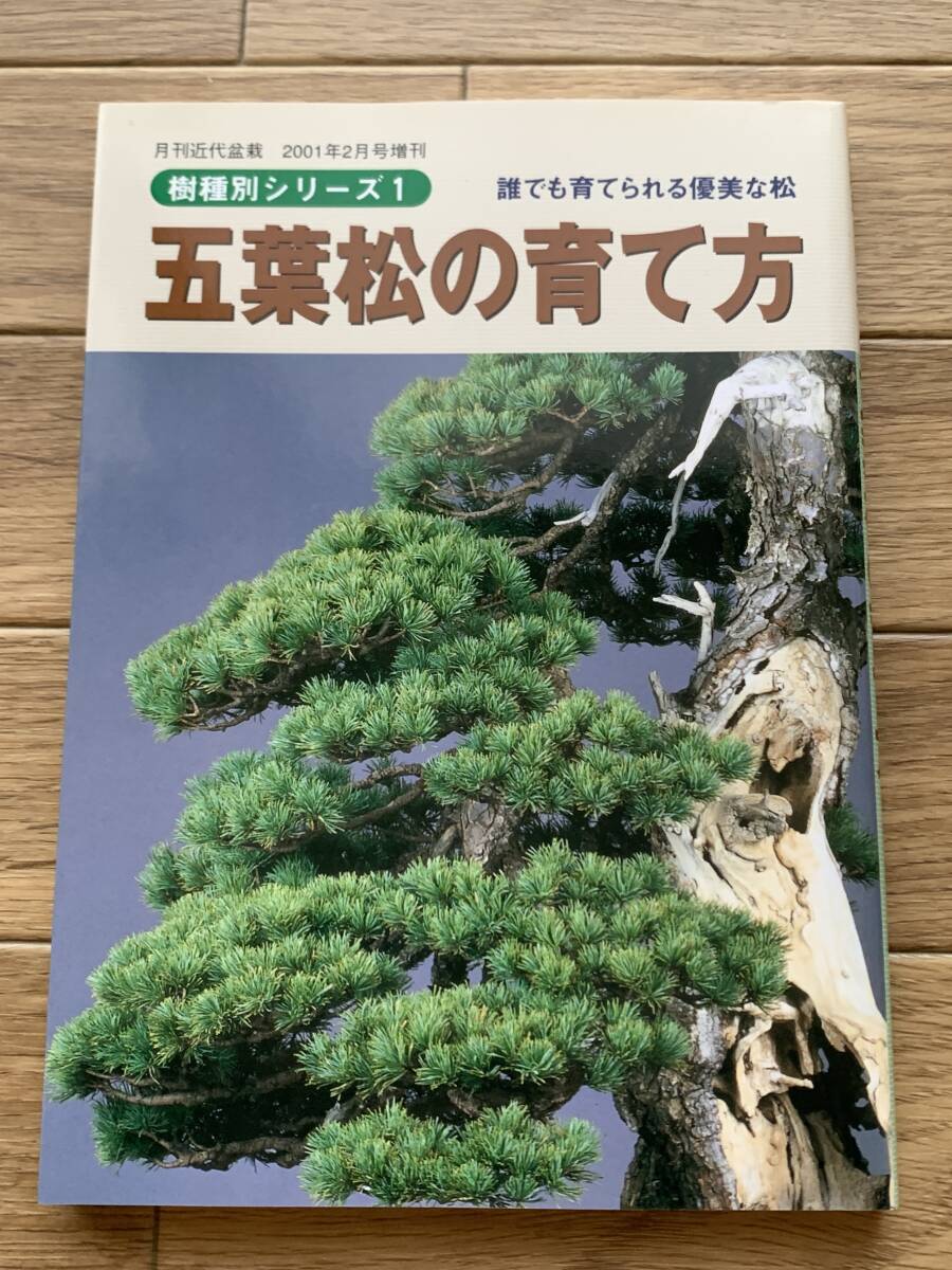 2025年最新】Yahoo!オークション -五葉松(本、雑誌)の中古品 2025年最新】Yahoo!オークション -五葉松(本、雑誌)の中古品