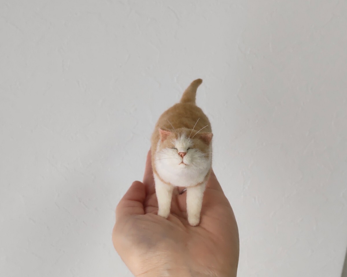 Yahoo!オークション -「羊毛フェルト 猫 茶トラ」の落札相場