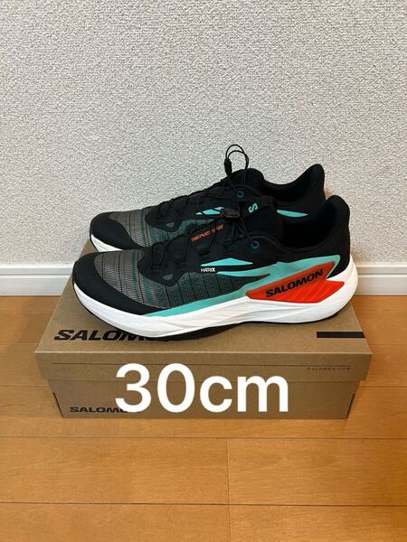 SALOMON サロモン GENESIS ジェネシス 30cm