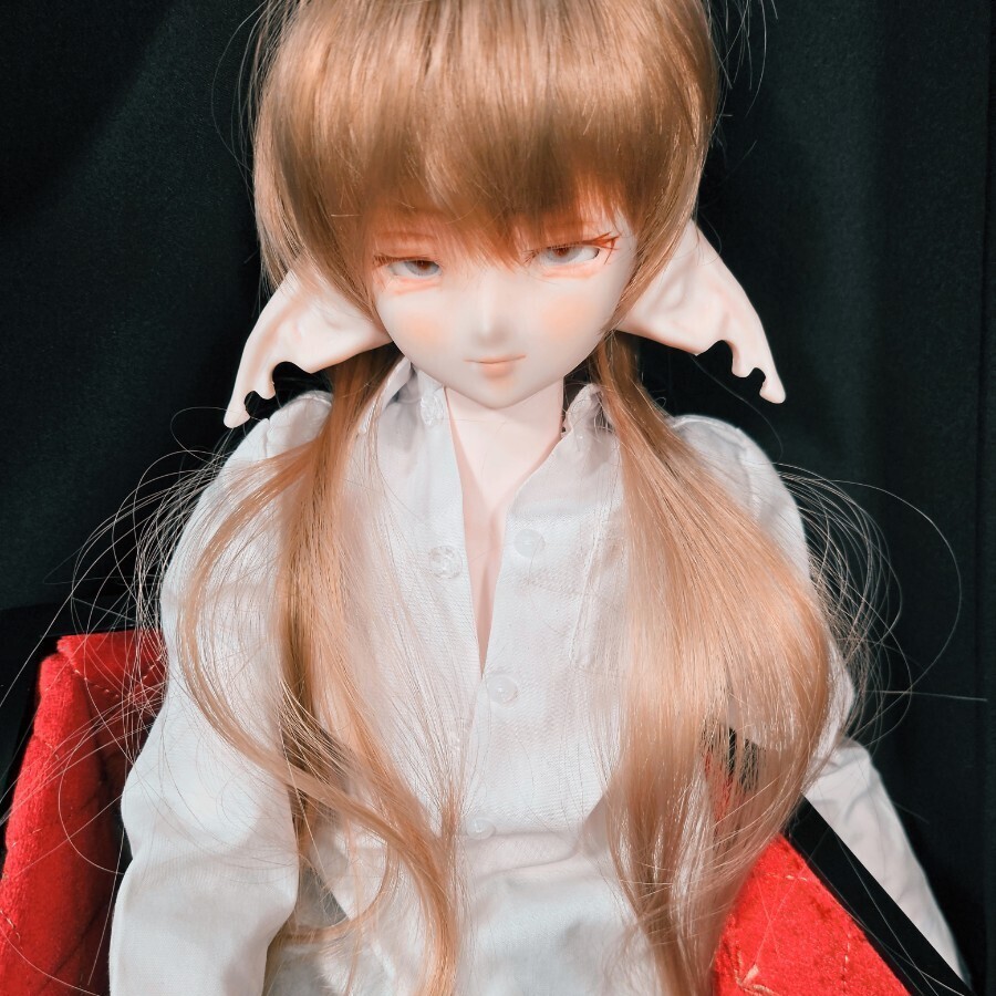 DDH-06/カスタムヘッド A-24-05-15-1135-NY-ZU - 本体
