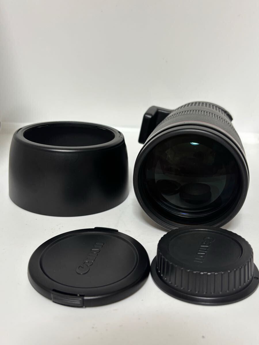 Yahoo!オークション -「canon ef 80 200 2.8 l」の落札相場 Yahoo!オークション -「canon ef 80 200 2.8 l」の落札相場