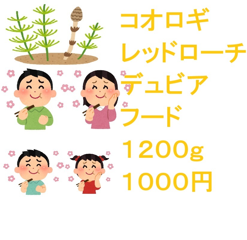 2025年最新】レッドローチのエサ通販 - Yahoo!オークション 2025年最新】レッドローチのエサ通販 - Yahoo!オークション