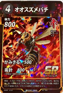 蟲神器 赤 オオスズメバチ SR