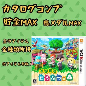 とびだせどうぶつの森 ソフトのみ