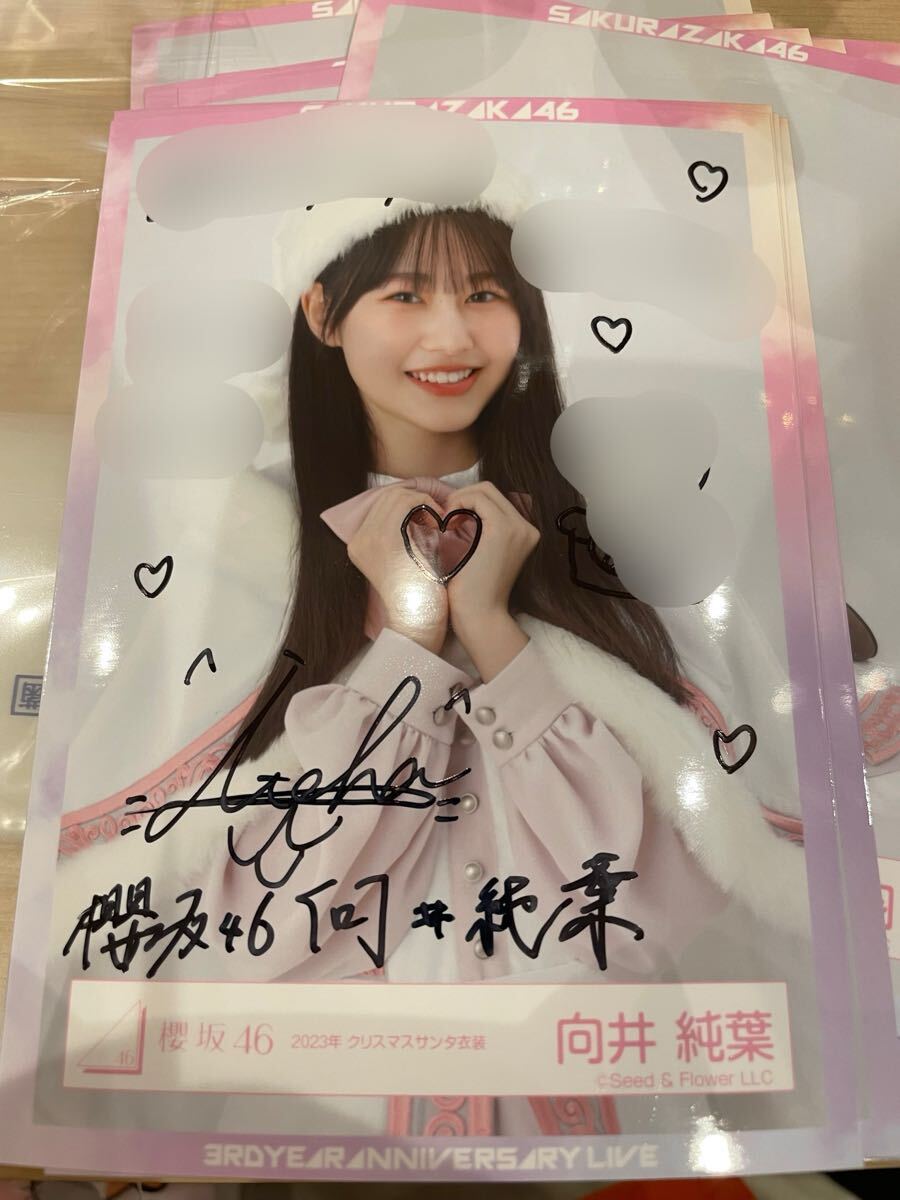 向井純葉 サンタ衣装 サイン