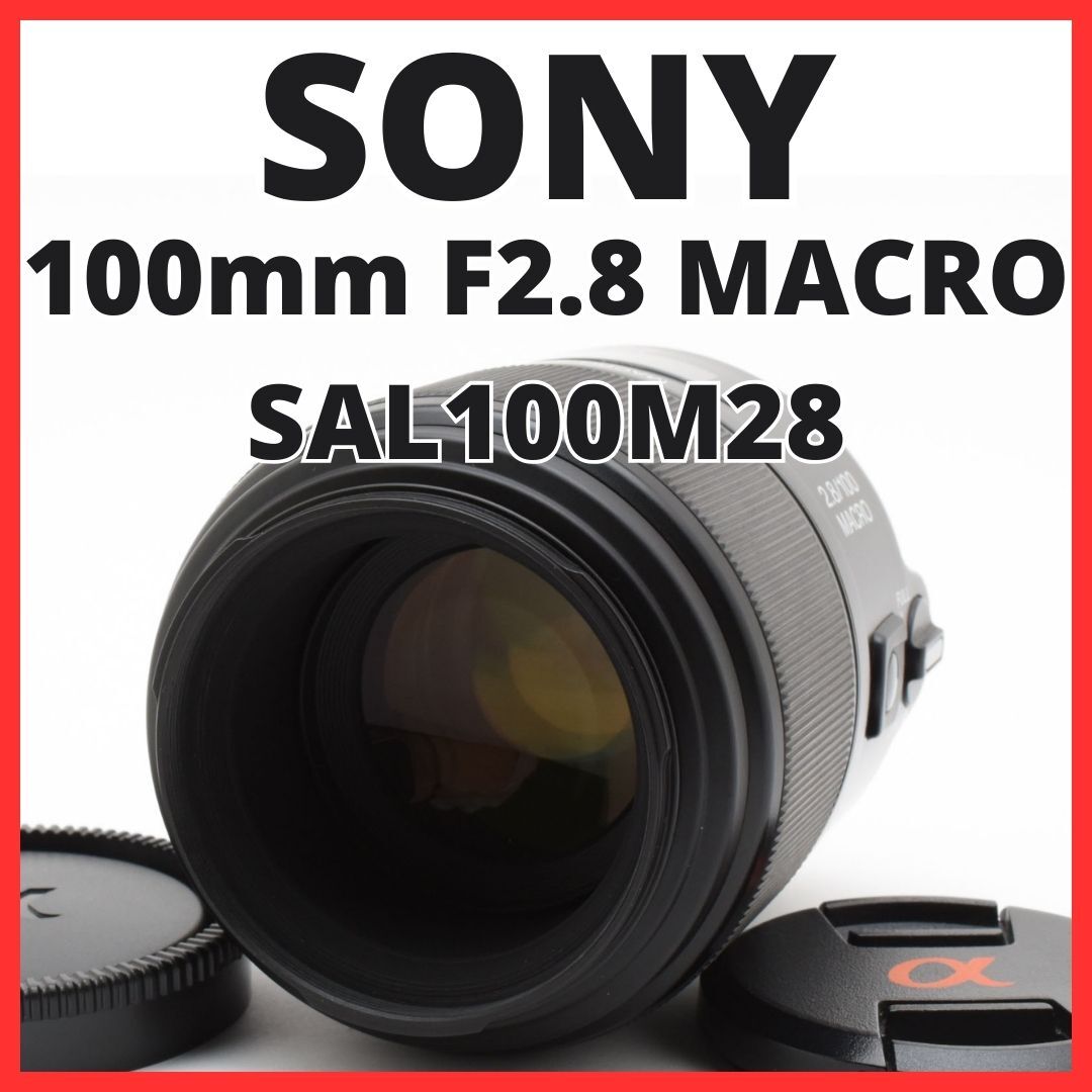 2025年最新】Yahoo!オークション -sal28f28の中古品・新品・未 2025年最新】Yahoo!オークション -sal28f28の中古品・新品・未