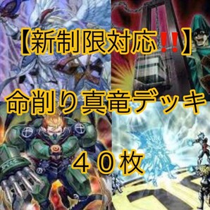 遊戯王【新制限対応!!】真竜デッキ40枚
