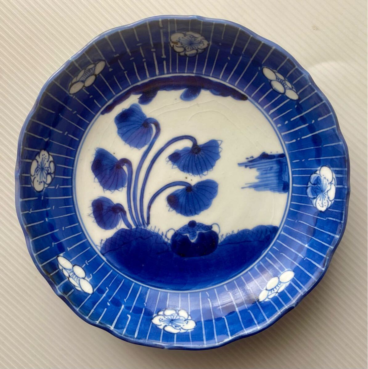2025年最新】Yahoo!オークション -なます皿の中古品・新品・未 2025年最新】Yahoo!オークション -なます皿の中古品・新品・未
