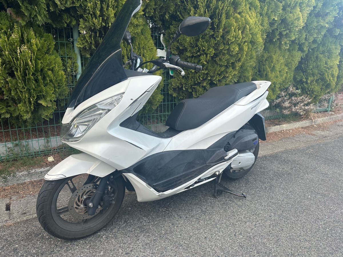 ホンダ - PCX125 JF56 低走行車 希少人気のクリッパーイエロー