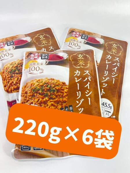 0065 玄米スパイシーカレーリゾット 1人前(220g) 6袋セット