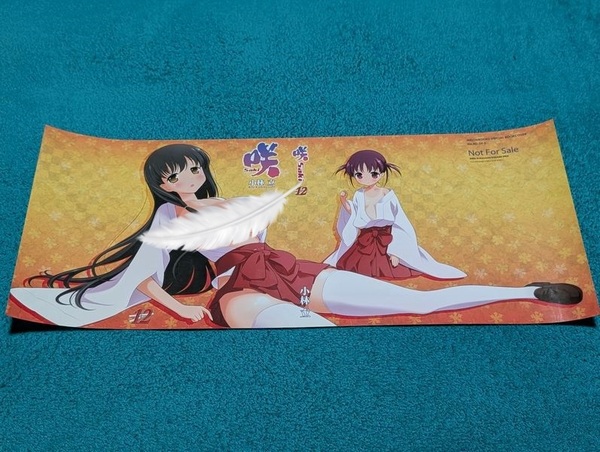 【未使用】咲-Saki- 12巻 メロンブックス特典 ブックカバー 石戸霞 薄墨初美