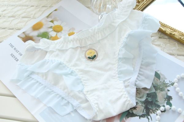 新品!送料無料!レディースパンツ プレーンショーツ パンティ 婦人肌着 女性下着 セクシー Mサイズ ブルー(a297)匿名発送