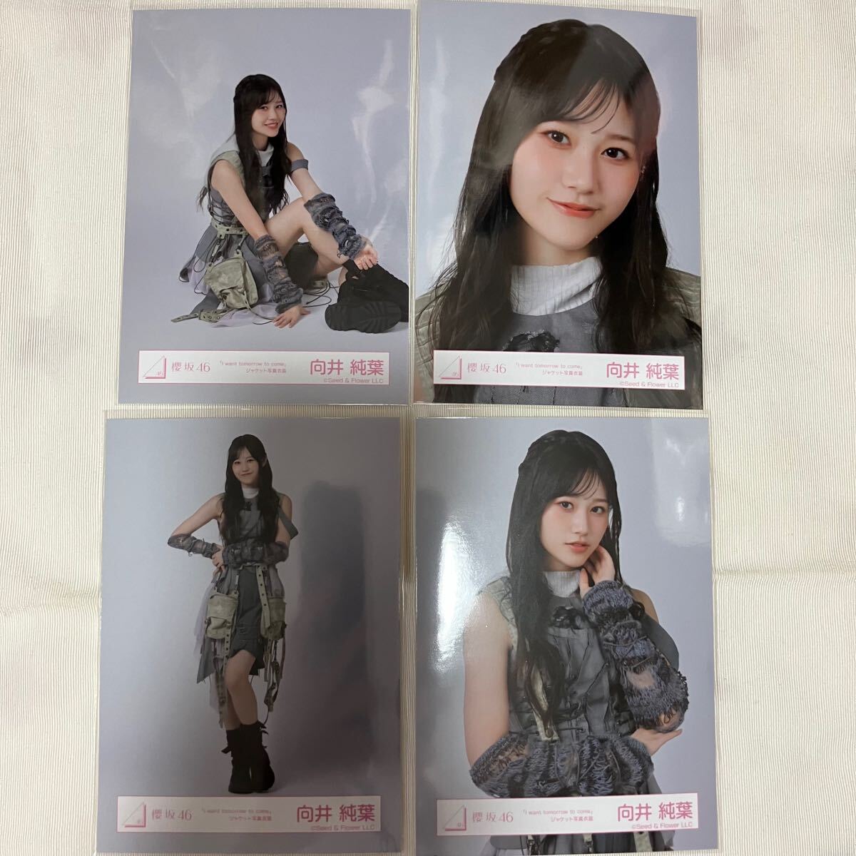 2025年最新】Yahoo!オークション -向井純葉の中古品・新品・未 2025年最新】Yahoo!オークション -向井純葉の中古品・新品・未