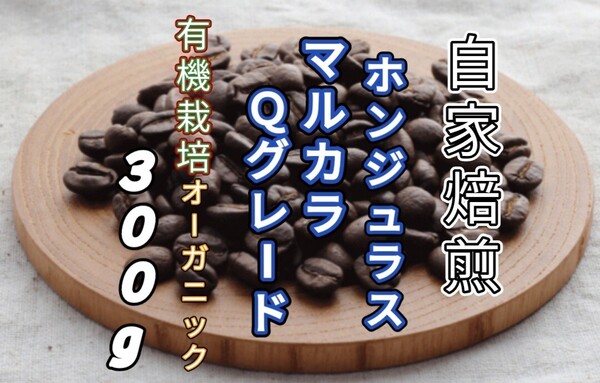 【ホンジュラス】SHGマルカラ Qグレード 自家焙煎豆 300g (自家焙煎 コーヒー豆 コーヒー