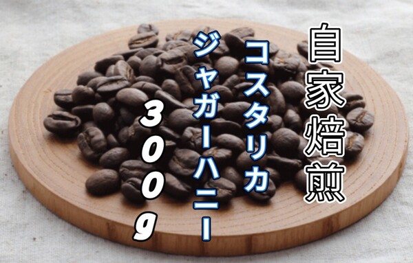 【コスタリカ】ジャガーハニー 自家焙煎コーヒー豆300g(自家焙煎 コーヒー豆 珈琲)