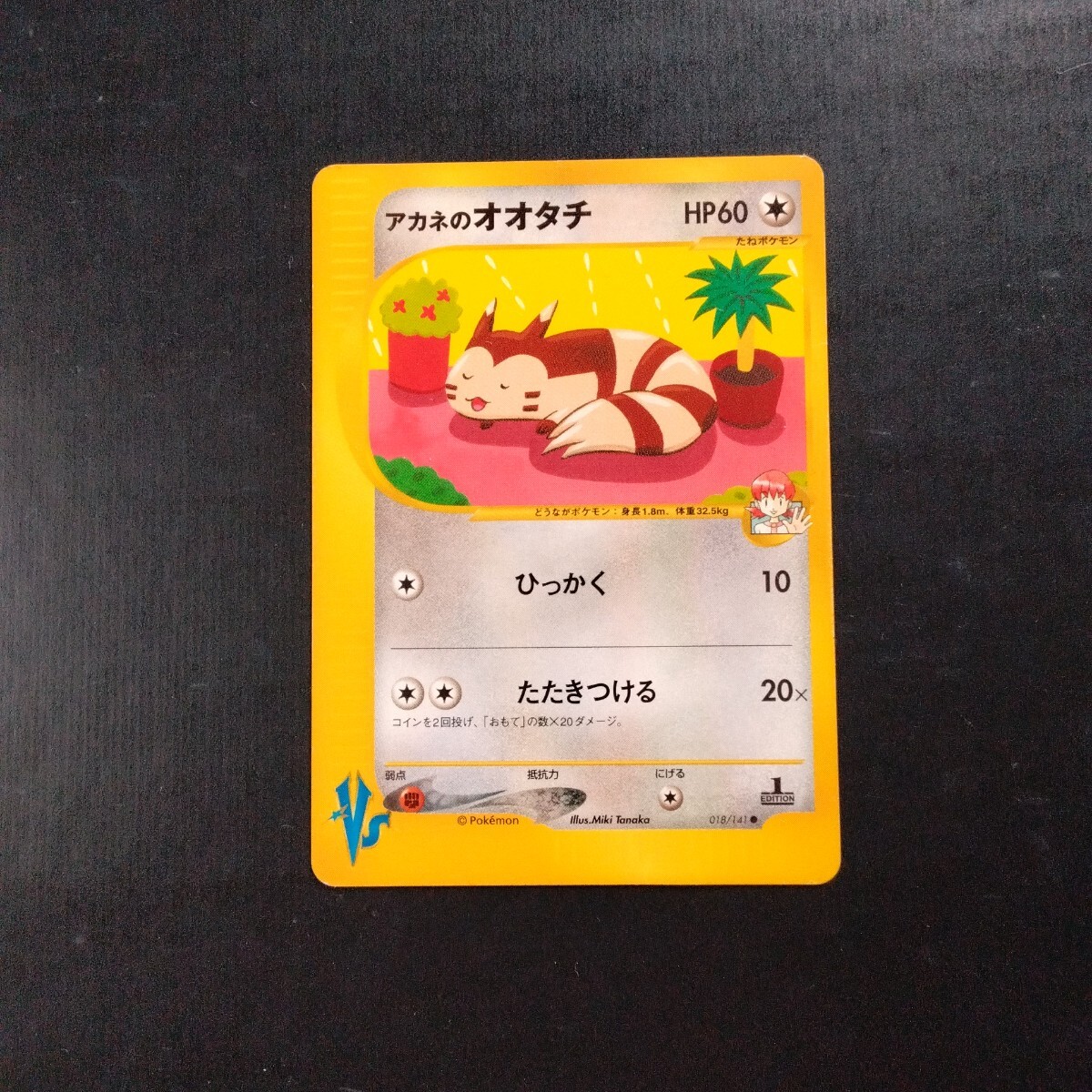 Yahoo!オークション -「オオタチ ポケモン」(ポケモンカード Yahoo!オークション -「オオタチ ポケモン」(ポケモンカード