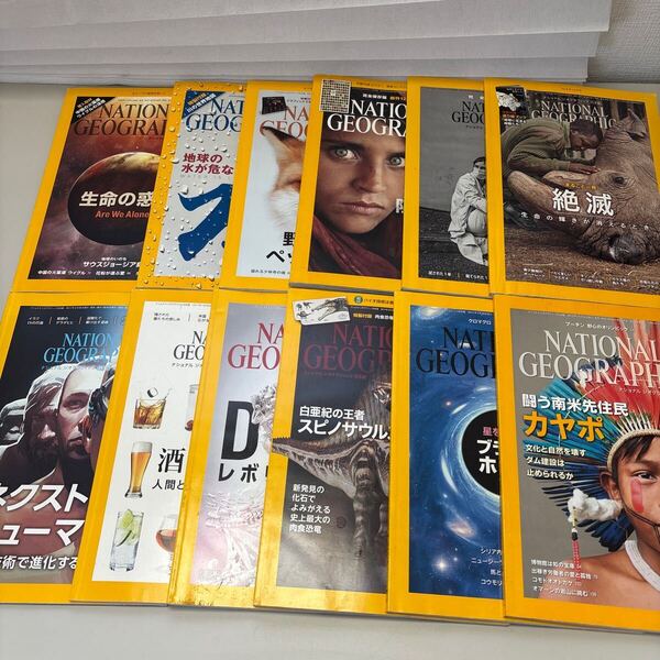 NATIONAL GEOGRAPHIC(ナショナルジオグラフィック)日本語版 バックナンバー12冊セット (2009年~2021年までバラ)