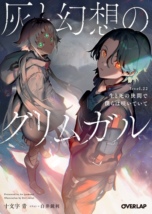 【期間限値下げ】灰と幻想のグリムガル DESIGN WORKS 【美品中古】 Yahoo!オークション -「灰と幻想のグリムガル」(本、雑誌) の