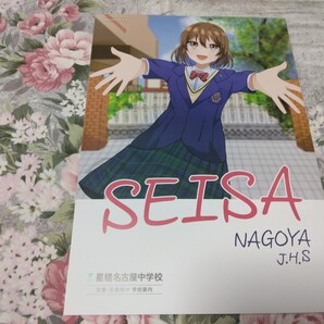 送料込! 2025 愛知県 星槎名古屋 中学校・高等学校 学校案内 (学校パンフレット 学校紹介 私立 中学 共学校