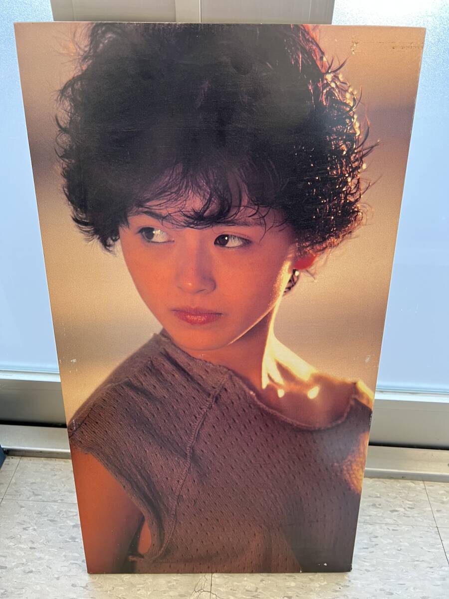 2025年最新】Yahoo!オークション - その他(小泉今日子 こ)の中古 2025年最新】Yahoo!オークション - その他(小泉今日子 こ)の中古