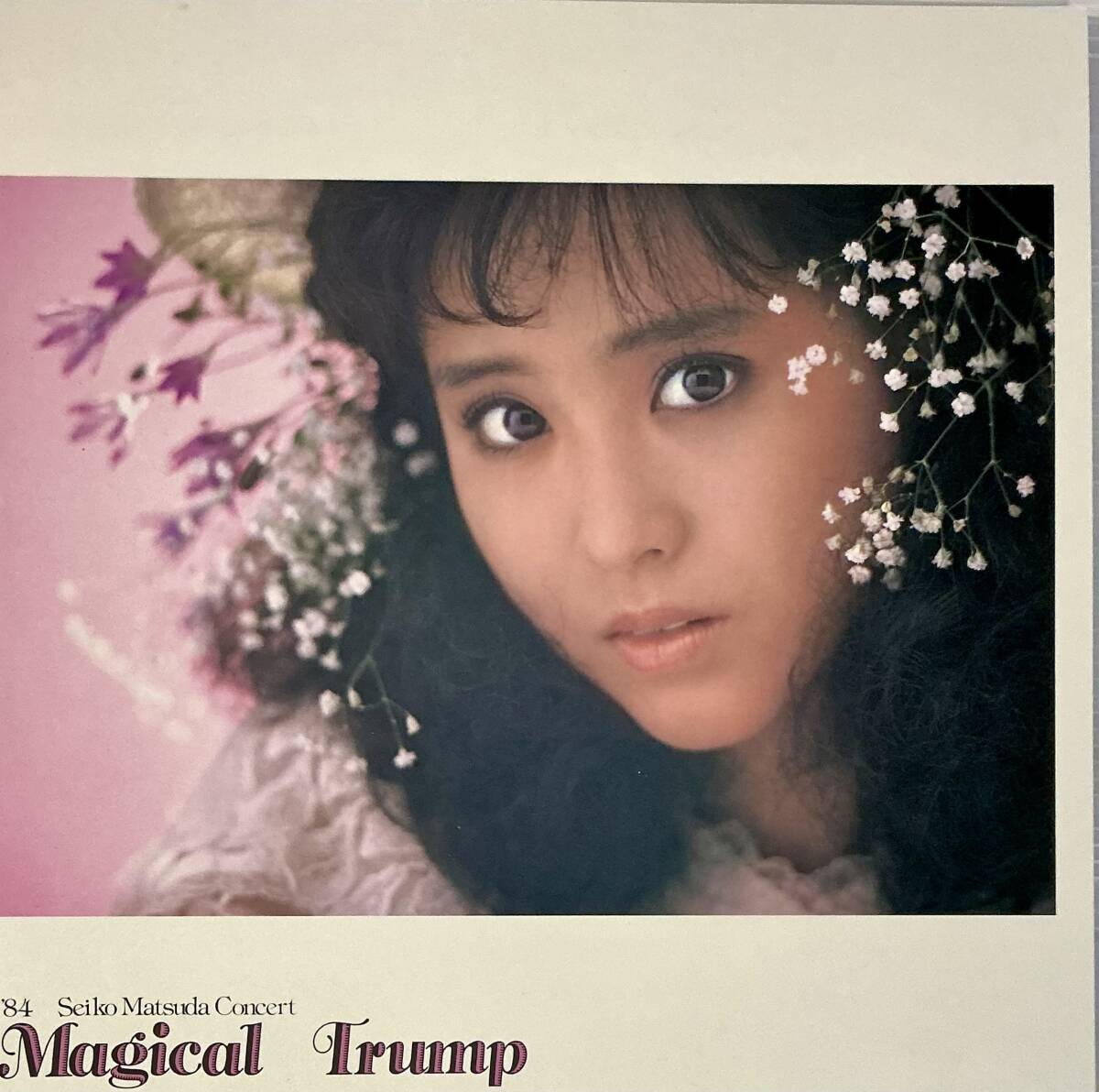2025年最新】Yahoo!オークション -松田聖子 コンサート(本、雑誌
