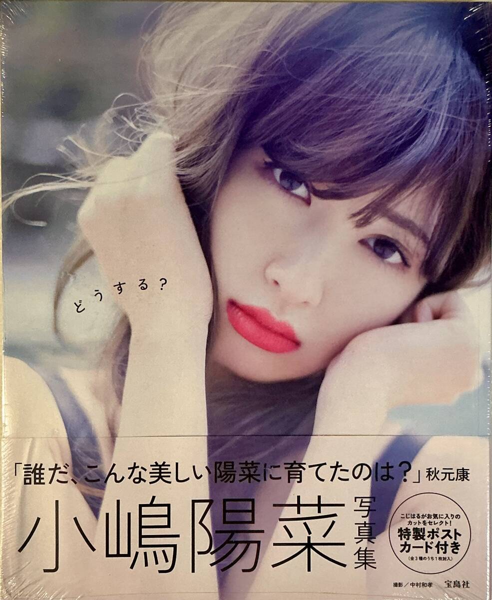 AKB48 小嶋陽菜 写真集 「どうする？」 帯・ポストカード付き