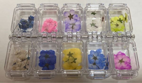 小花 押し花 ユキヤナギ・かすみそう♪100個以上ケース付き