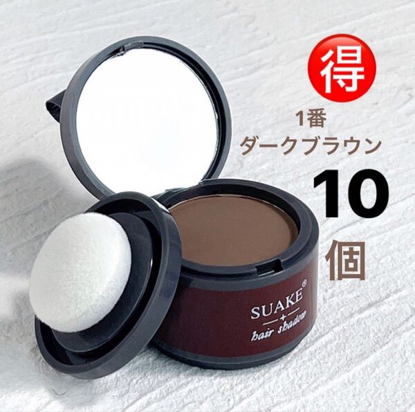 ヘアシャドウパウダー (ダークブラウン10個)