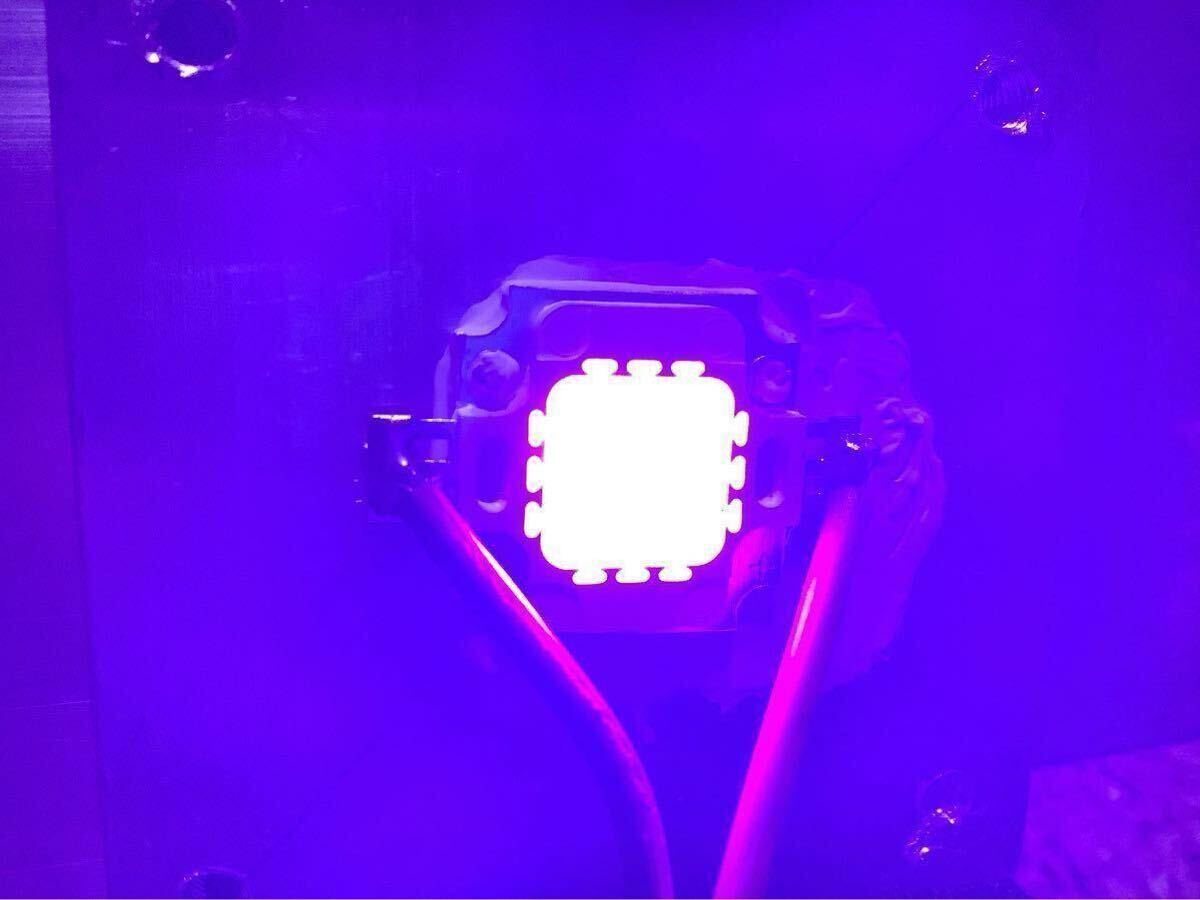 2025年最新】Yahoo!オークション -灯火採集の中古品・新品・未 2025年最新】Yahoo!オークション -灯火採集の中古品・新品・未