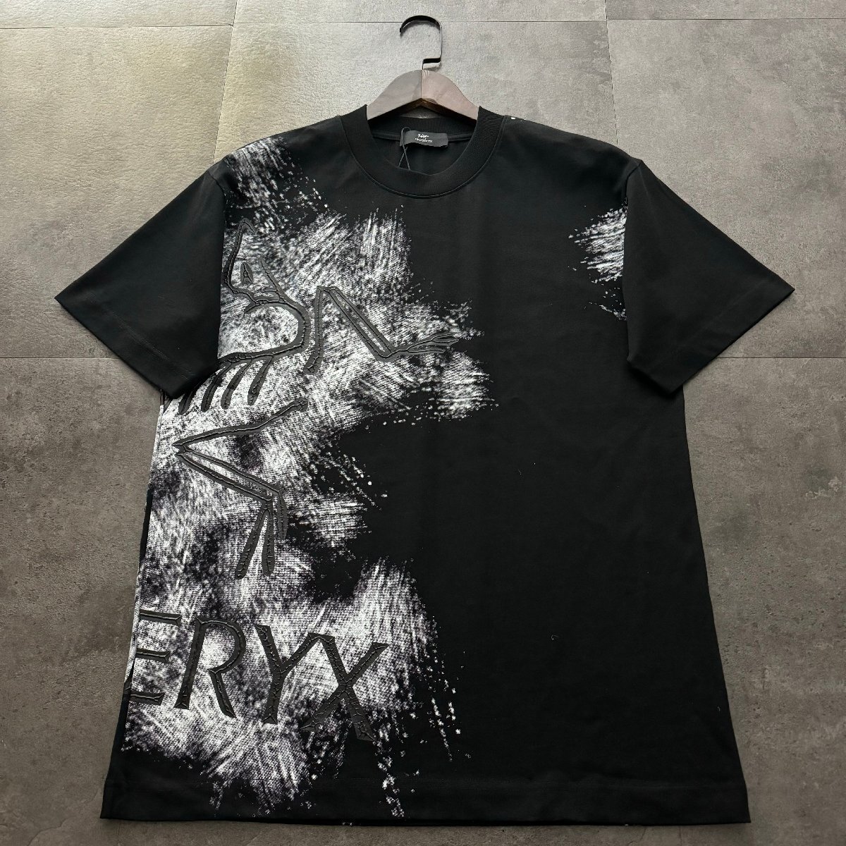 2025年最新】Yahoo!オークション -アークテリクス tシャツの中古 2025年最新】Yahoo!オークション -アークテリクス tシャツの中古