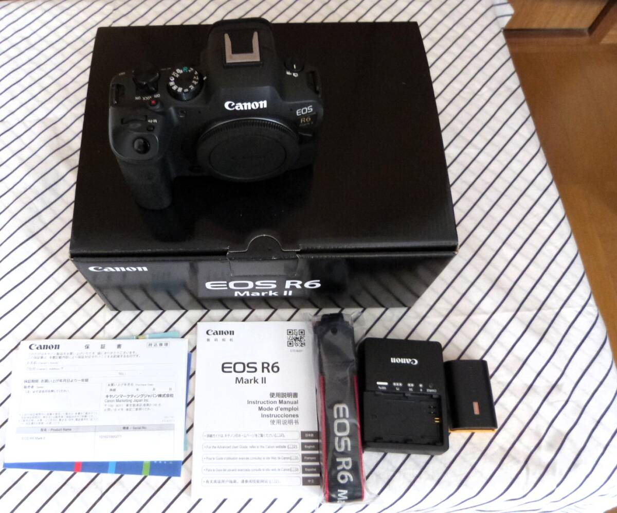 Yahoo!オークション -「eos r6 mark ii」(ミラーレス一眼 Yahoo!オークション -「eos r6 mark ii」(ミラーレス一眼