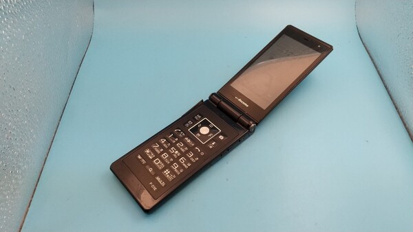 K2950 docomo FOMA F-01E FUJITSU 富士通/ガラケー/ケータイ 簡易動作確認&簡易清掃&初期化OK 判定○ 現状品 送料無料
