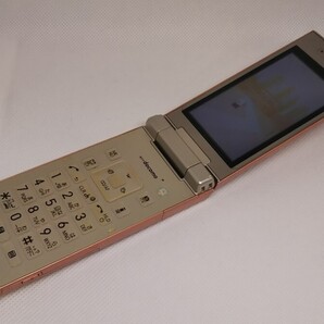 M186 docomo FOMA P-06C Panasonic ガラケー/ケータイ/ 簡易動作確認&簡易清掃&初期化OK 判定○ 現状品 送料無料