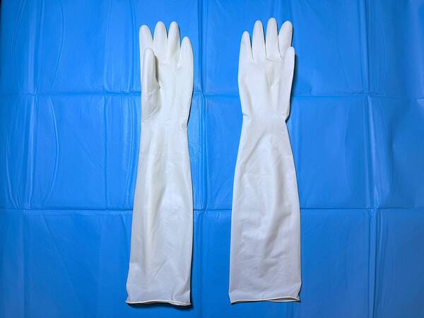 手術用手袋の形状 クリーンルーム用手袋 サイズ7.0 ロングタイプ(全長48cm以上) 中国製輸入品 5双1セット(5双/1個)