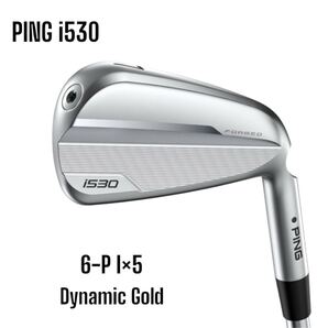 PING ピン i530 アイアン 6-P 5本セット Dynamic Gold