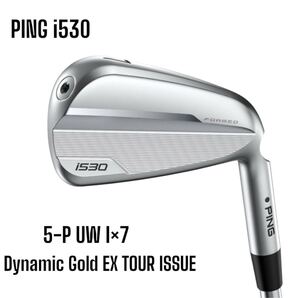 PING ピン i530 アイアン 5-P UW 7本セット Dynamic Gold EX TOUR ISSUE