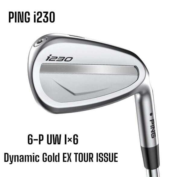 PING ピン i230 アイアン 6-P UW 6本セット Dynamic Gold EX TOUR ISSUE
